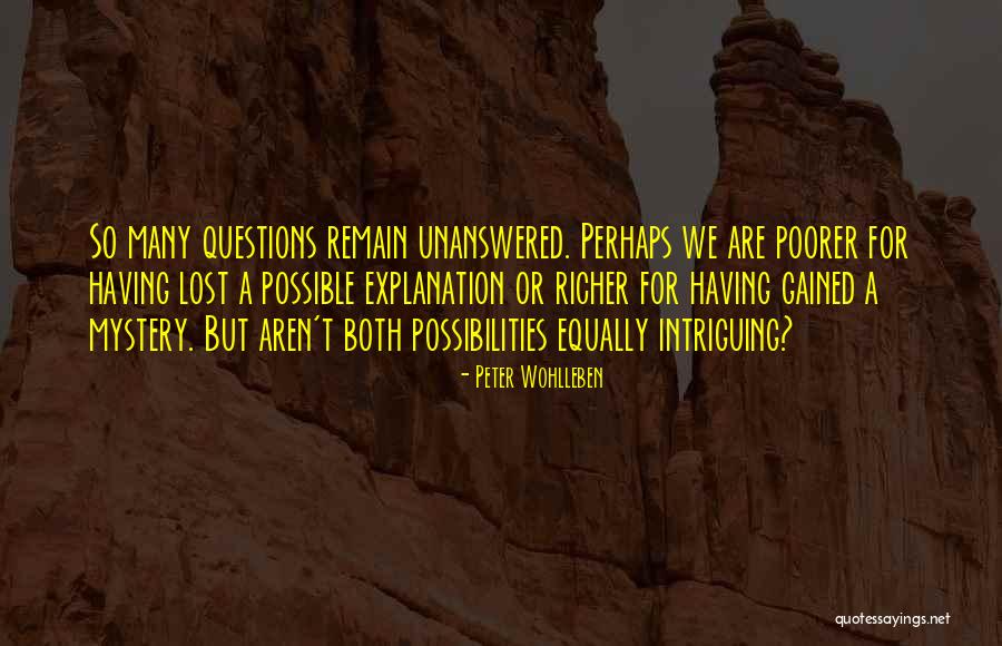 Hijau Botol Quotes By Peter Wohlleben Hijau Botol Quotes By Peter Wohlleben