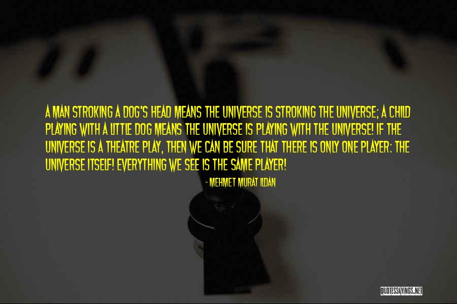 Hikari Fish Food Quotes By Mehmet Murat Ildan