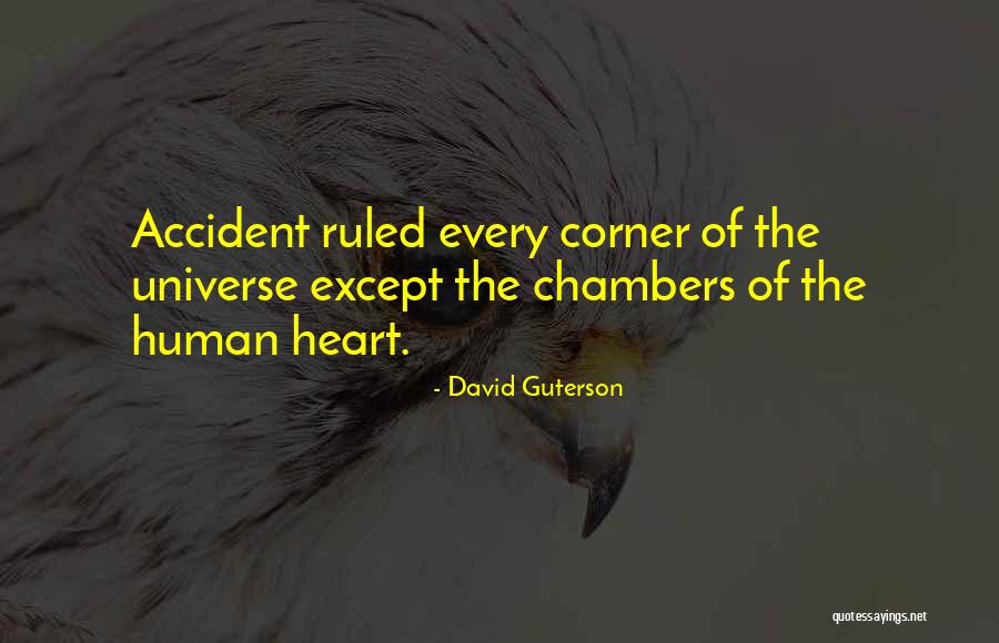 Hikayeler Oku Quotes By David Guterson Hikayeler Oku Quotes By David Guterson