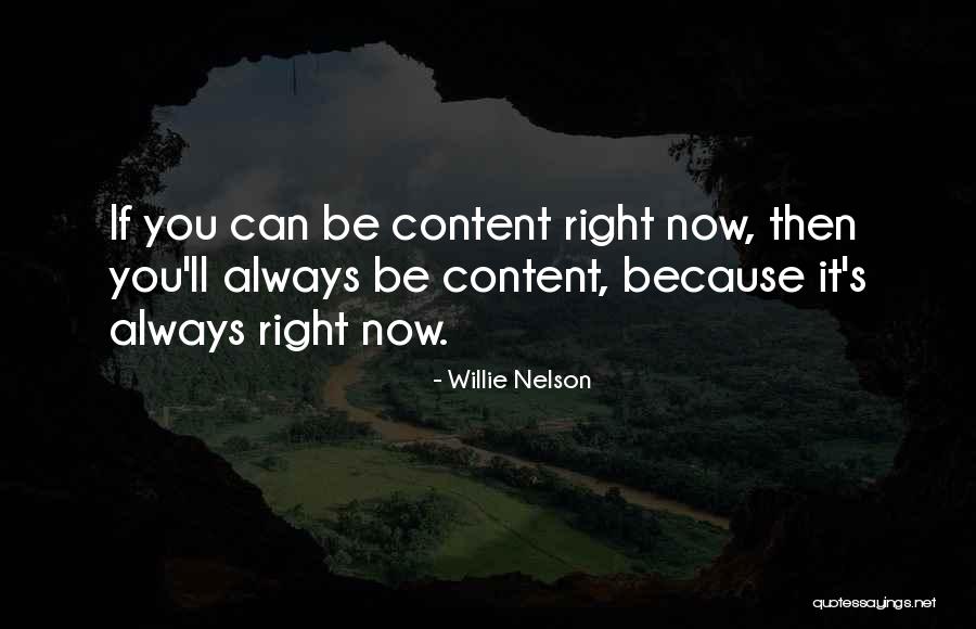 Hikikomori Quotes By Willie Nelson Hikikomori Quotes By Willie Nelson