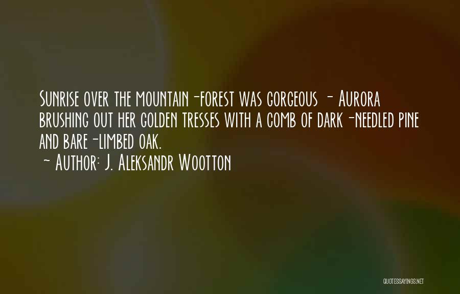 Hiking A Mountain Quotes By J. Aleksandr Wootton