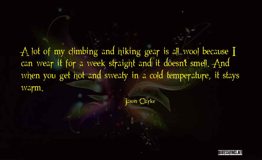 Hiking Climbing Quotes By Jason Clarke