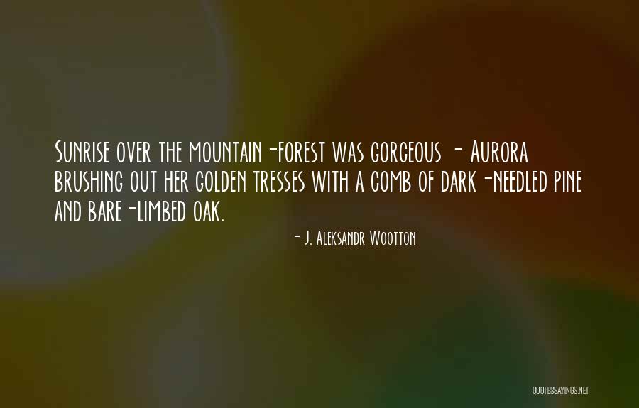 Hiking Mountains Quotes By J. Aleksandr Wootton