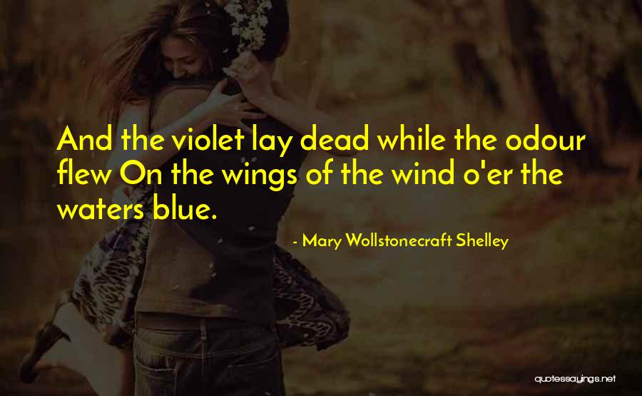 Hiking Sandals Quotes By Mary Wollstonecraft Shelley Hiking Sandals Quotes By Mary Wollstonecraft Shelley