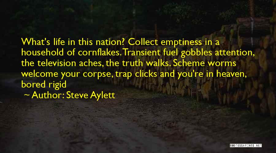 Hiking Socks Quotes By Steve Aylett