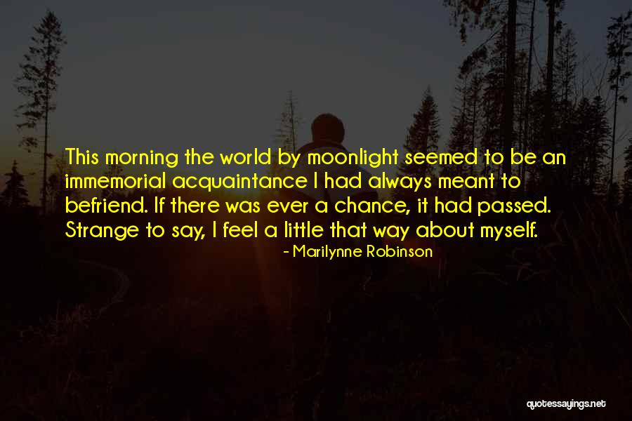 Hiking Sticks Quotes By Marilynne Robinson