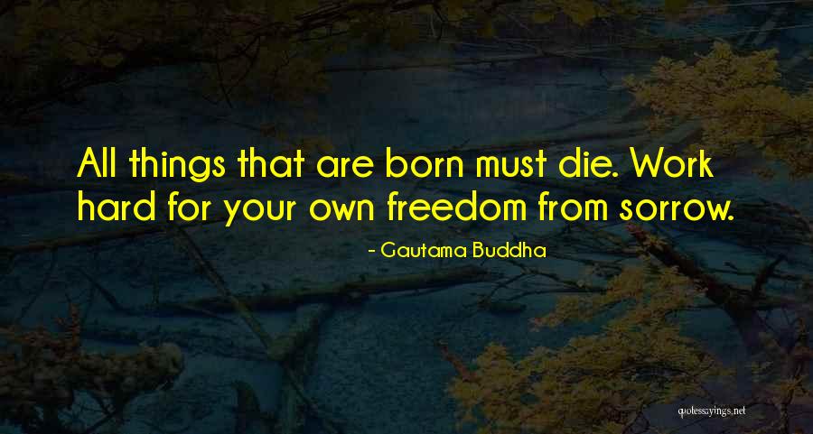 Hiking The Grand Canyon Quotes By Gautama Buddha Hiking The Grand Canyon Quotes By Gautama Buddha
