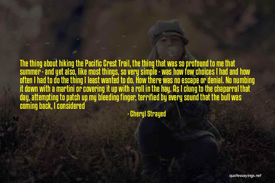 Hiking Trail Quotes By Cheryl Strayed