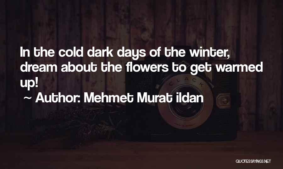 Hilangkan Bekas Quotes By Mehmet Murat Ildan