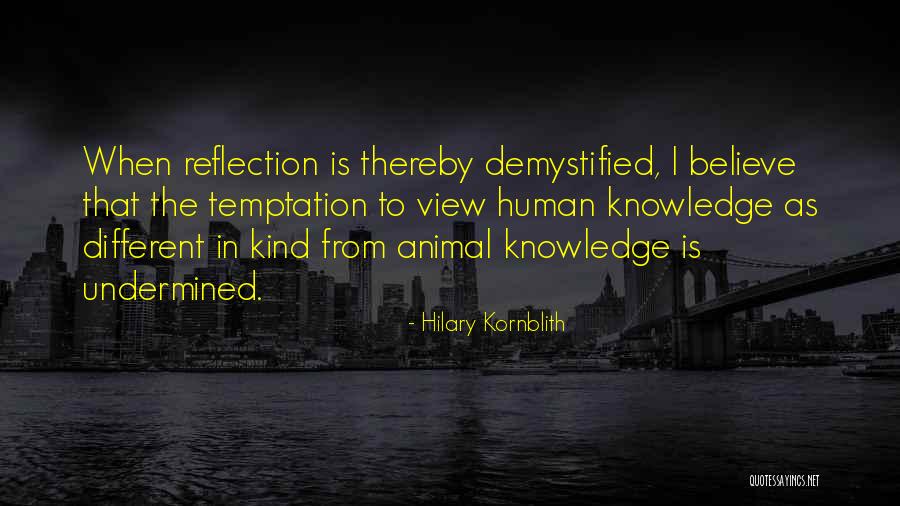 Hilary Kornblith Quotes 271403