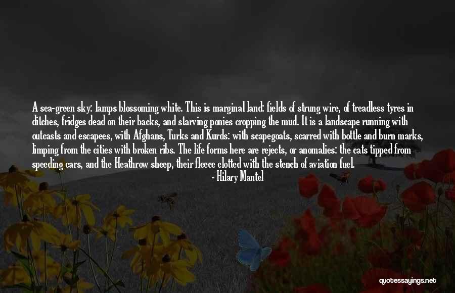 Hilary Mantel Quotes 2225252