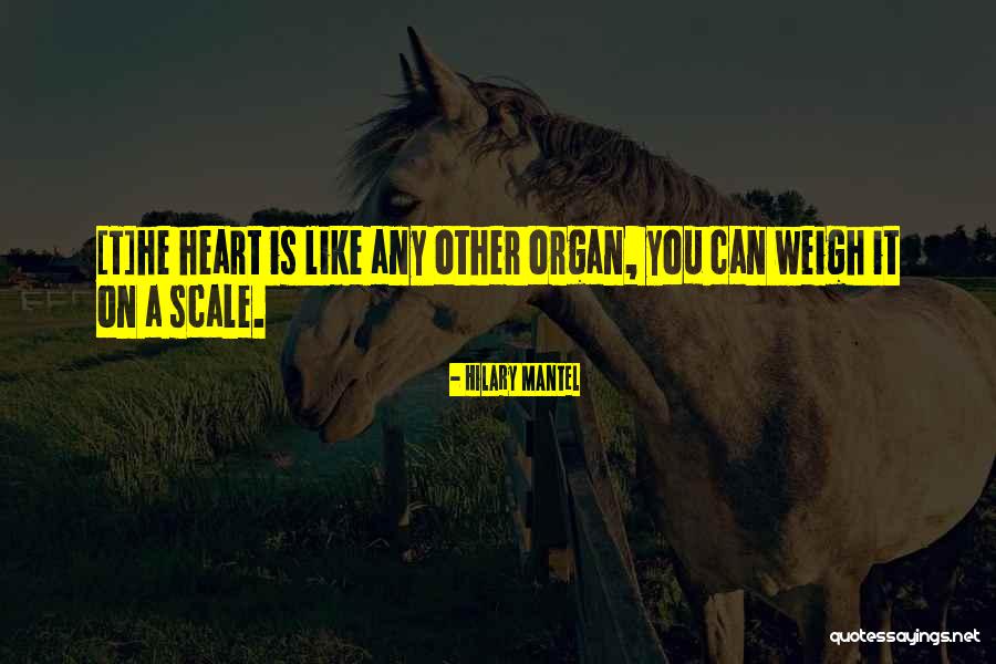 Hilary Quotes By Hilary Mantel Hilary Quotes By Hilary Mantel