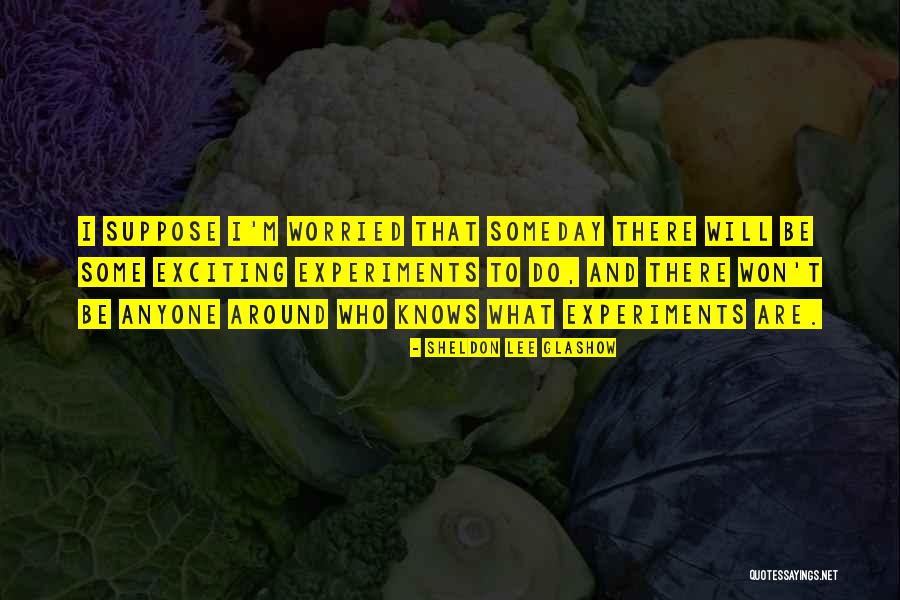 Hilbig Refrigeration Quotes By Sheldon Lee Glashow Hilbig Refrigeration Quotes By Sheldon Lee Glashow