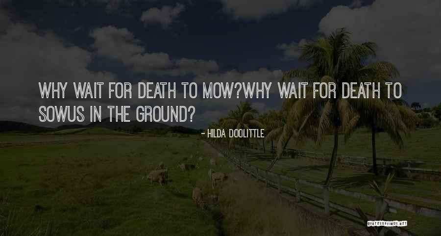 Hilda Doolittle Quotes 1376902 Hilda Doolittle Quotes 1376902