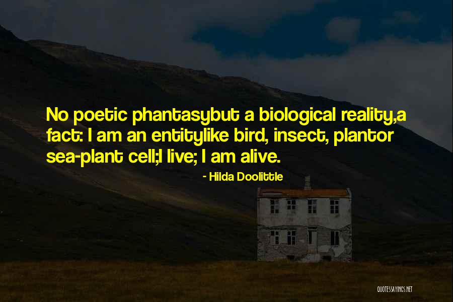 Hilda Doolittle Quotes 180627