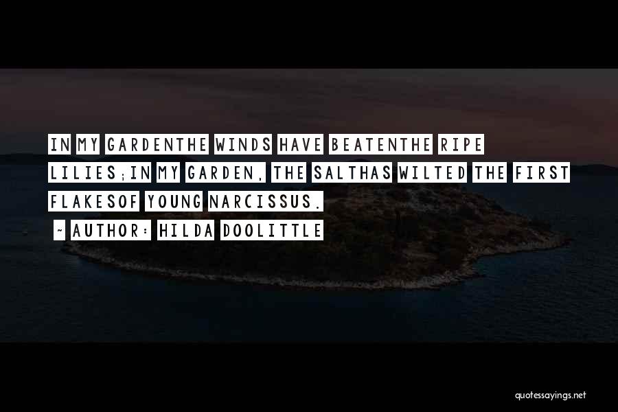 Hilda Doolittle Quotes 2101484 Hilda Doolittle Quotes 2101484