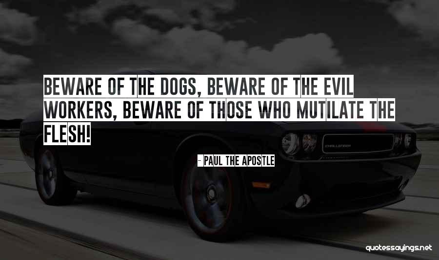 Hildebrando Salinas Quotes By Paul The Apostle Hildebrando Salinas Quotes By Paul The Apostle
