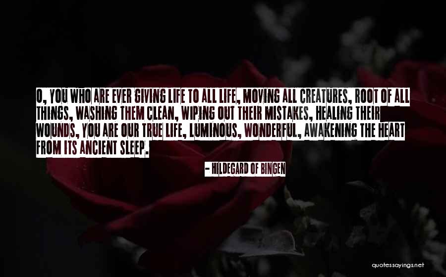 Hildegard Bingen Quotes By Hildegard Of Bingen Hildegard Bingen Quotes By Hildegard Of Bingen