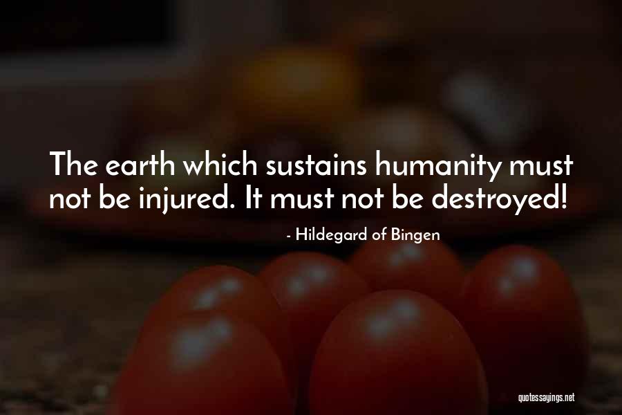Hildegard Bingen Quotes By Hildegard Of Bingen Hildegard Bingen Quotes By Hildegard Of Bingen