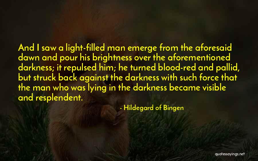 Hildegard Of Bingen Quotes 471703