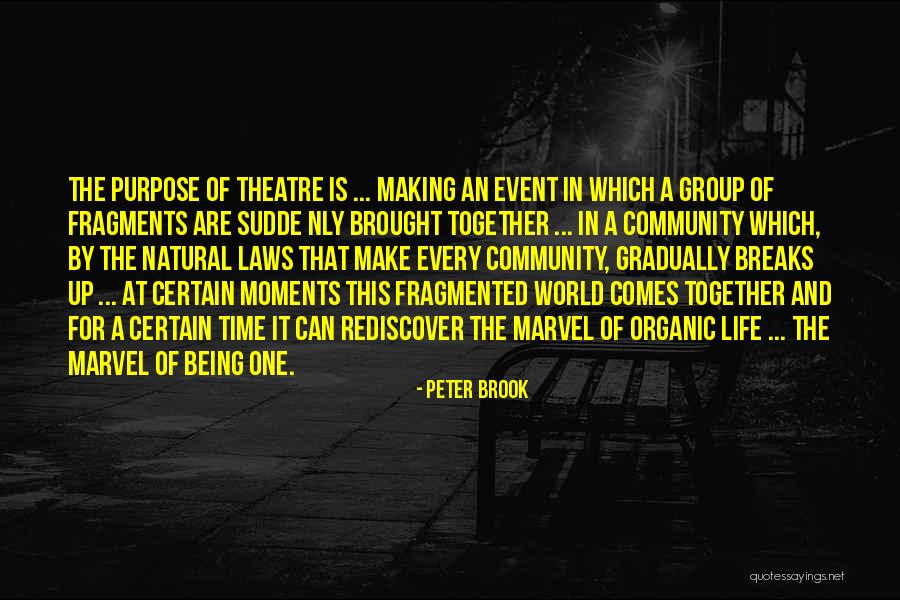 Hillary Clinton Marxist Quotes By Peter Brook