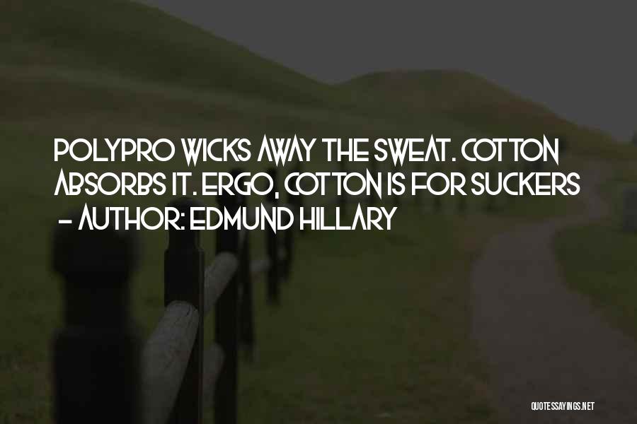 Hillary Edmund Quotes By Edmund Hillary