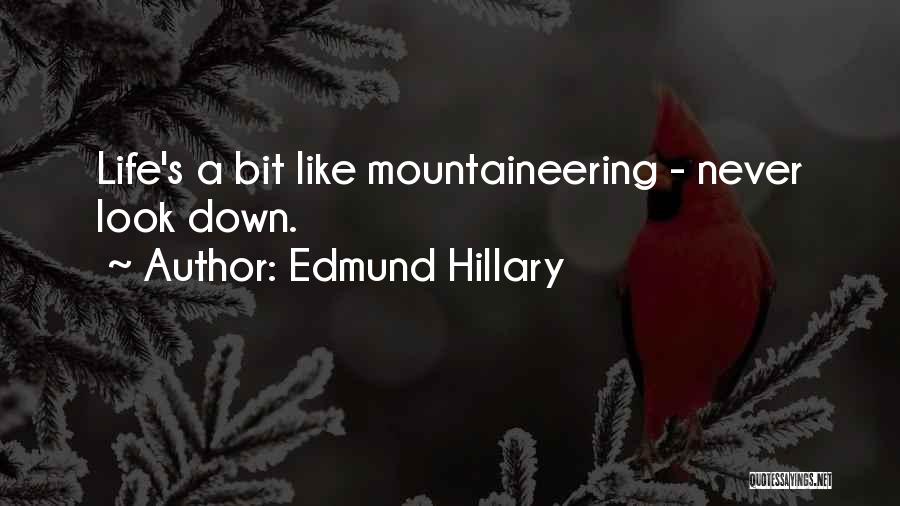 Hillary Edmund Quotes By Edmund Hillary