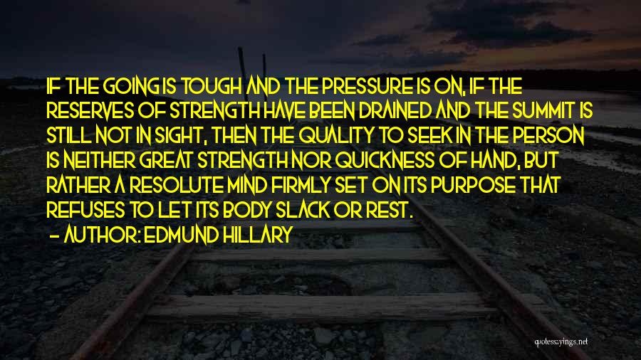 Hillary Edmund Quotes By Edmund Hillary