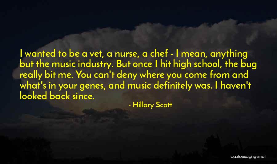 Hillary Scott Quotes 1470852