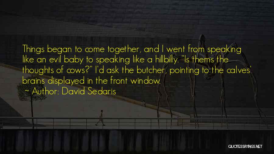 Hillbilly Quotes By David Sedaris