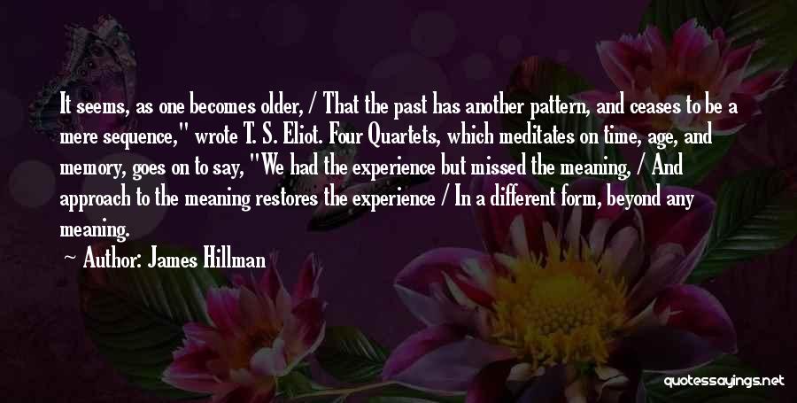 Hillman Quotes By James Hillman