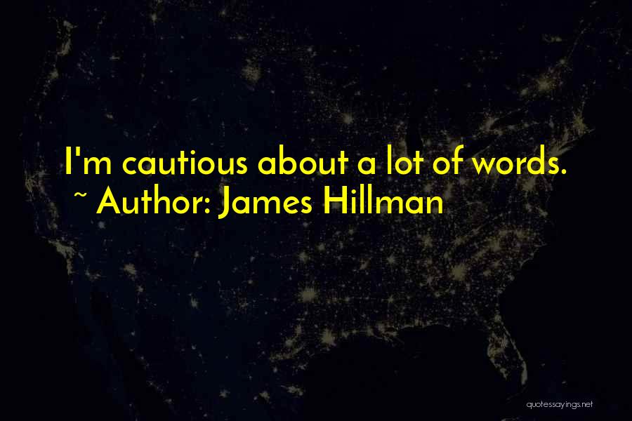 Hillman Quotes By James Hillman