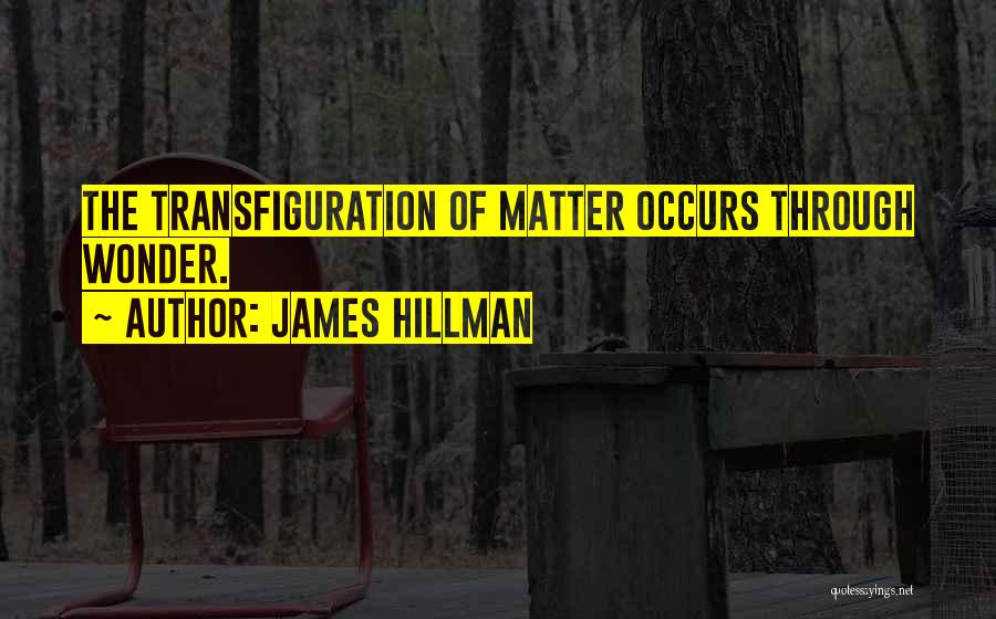 Hillman Quotes By James Hillman