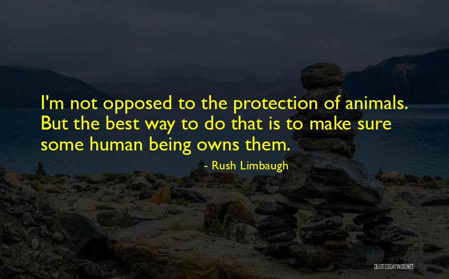 Hillmon Doctrine Quotes By Rush Limbaugh Hillmon Doctrine Quotes By Rush Limbaugh