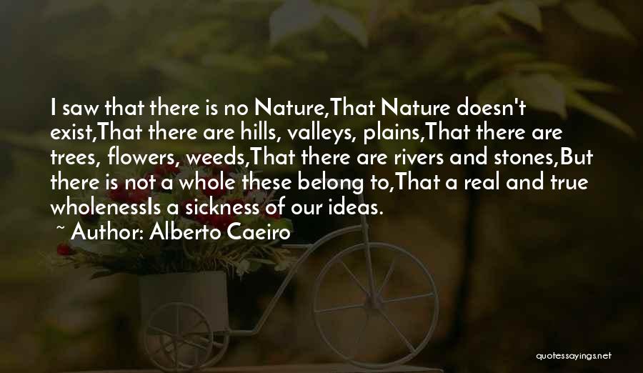 Hills And Nature Quotes By Alberto Caeiro
