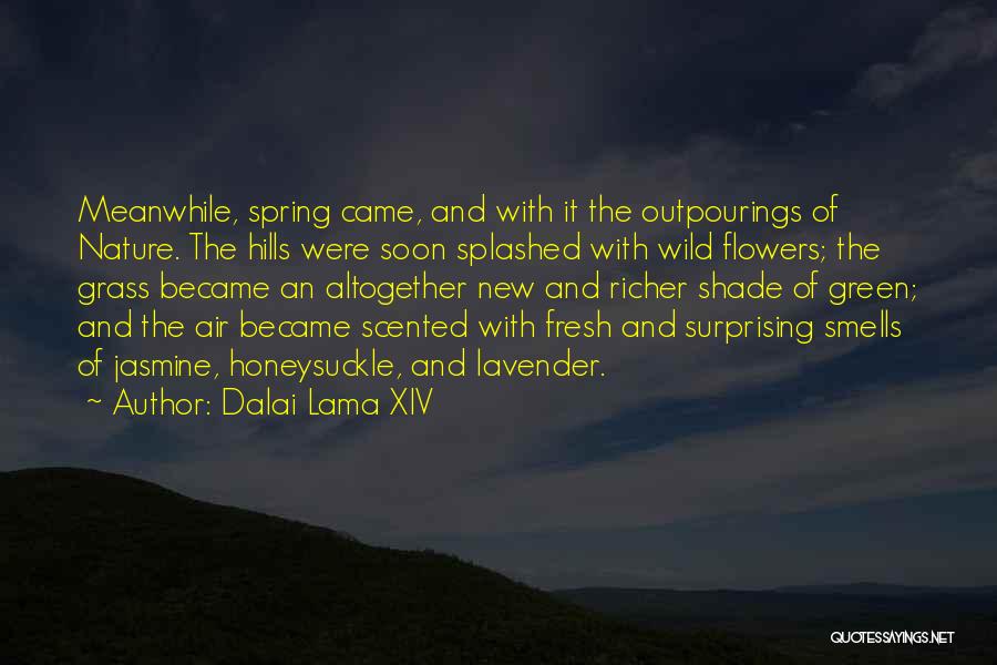 Hills And Nature Quotes By Dalai Lama XIV