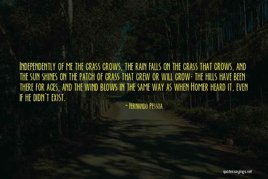 Hills Quotes By Fernando Pessoa