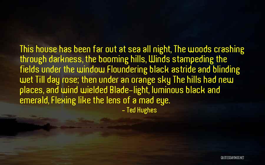 Hills Quotes By Ted Hughes