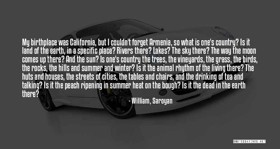 Hills Quotes By William, Saroyan