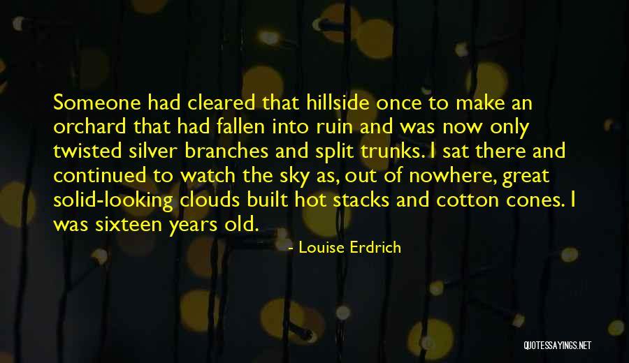 Hillside Quotes By Louise Erdrich Hillside Quotes By Louise Erdrich