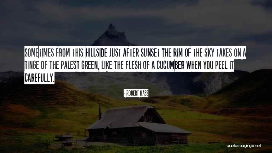 Hillside Quotes By Robert Hass Hillside Quotes By Robert Hass