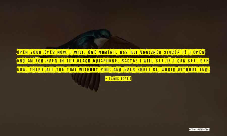 Hiltraud Beast Quotes By James Joyce Hiltraud Beast Quotes By James Joyce