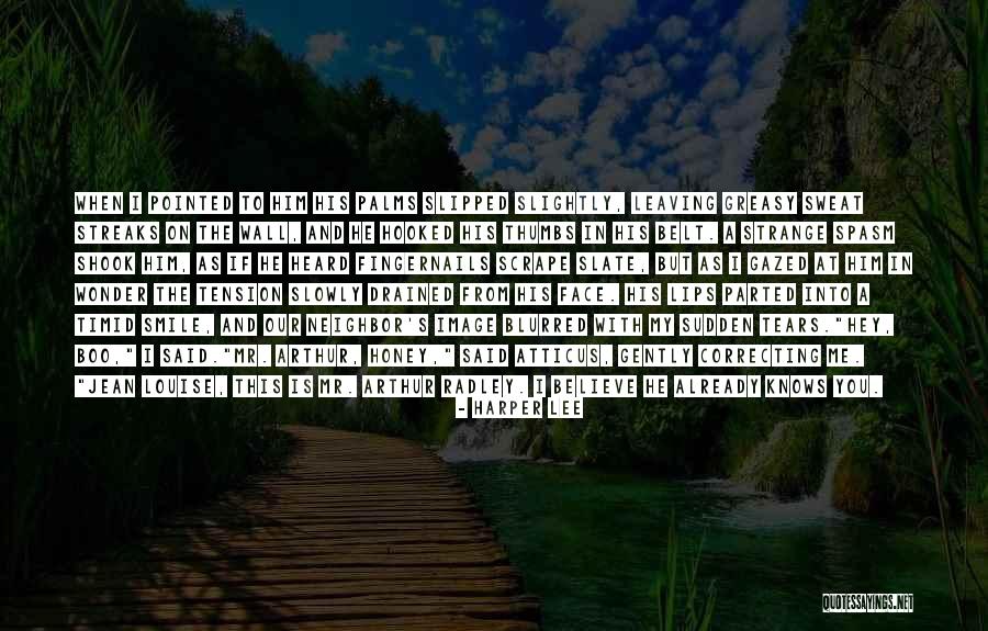 Him Leaving You Quotes By Harper Lee
