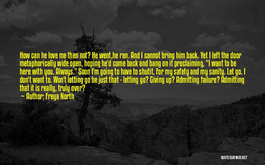 Him Letting Me Go Quotes By Freya North