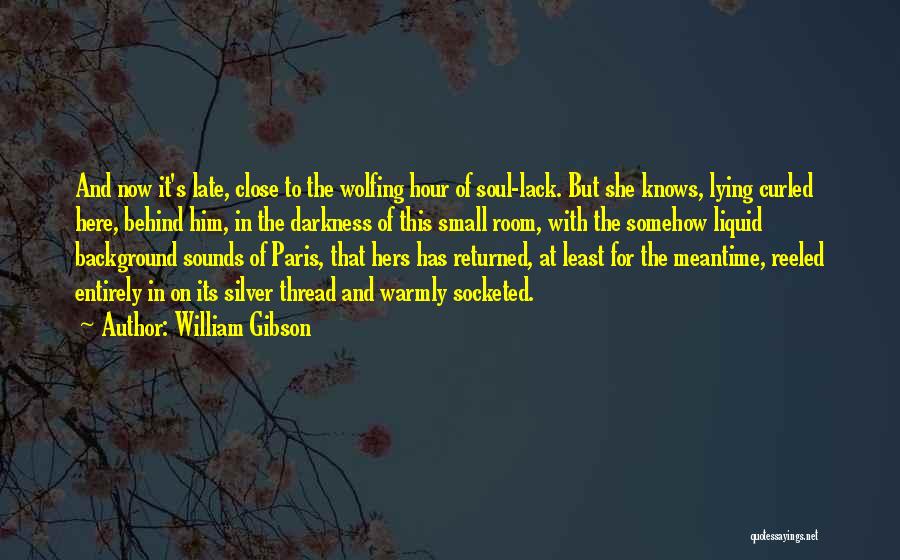 Him Lying Quotes By William Gibson
