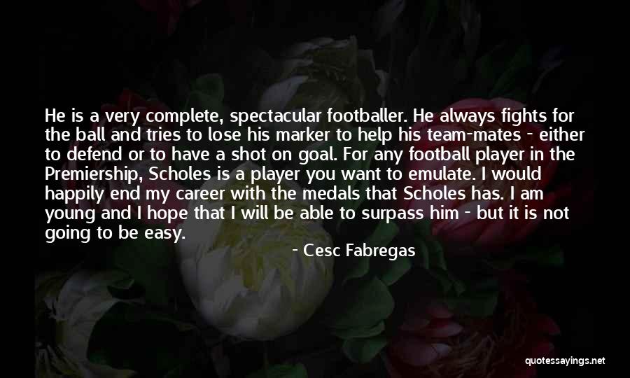 Him Not Fighting For You Quotes By Cesc Fabregas