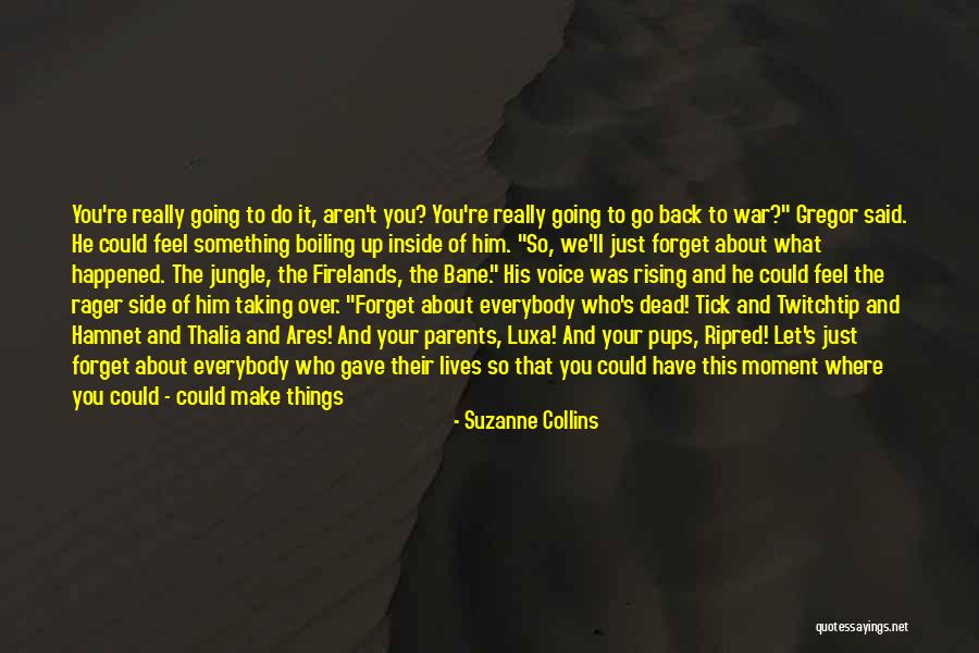 Him Not Fighting For You Quotes By Suzanne Collins