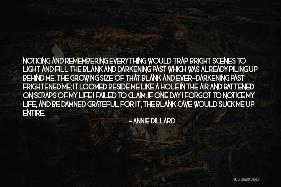 Him Not Noticing Me Quotes By Annie Dillard Him Not Noticing Me Quotes By Annie Dillard