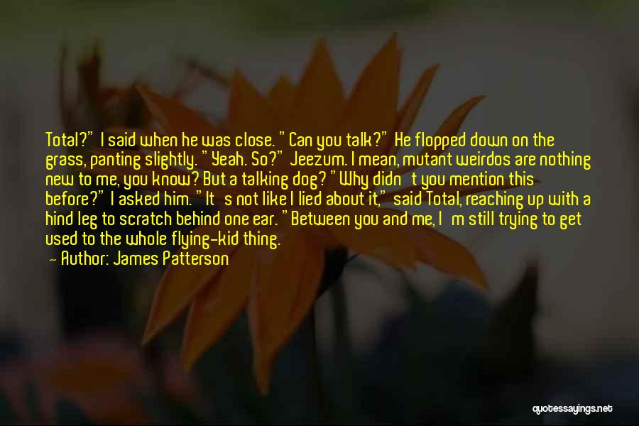 Him Not Talking To Me Quotes By James Patterson