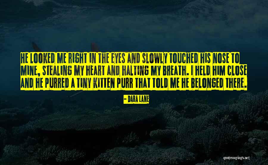 Him Stealing My Heart Quotes By Dara Lane Him Stealing My Heart Quotes By Dara Lane